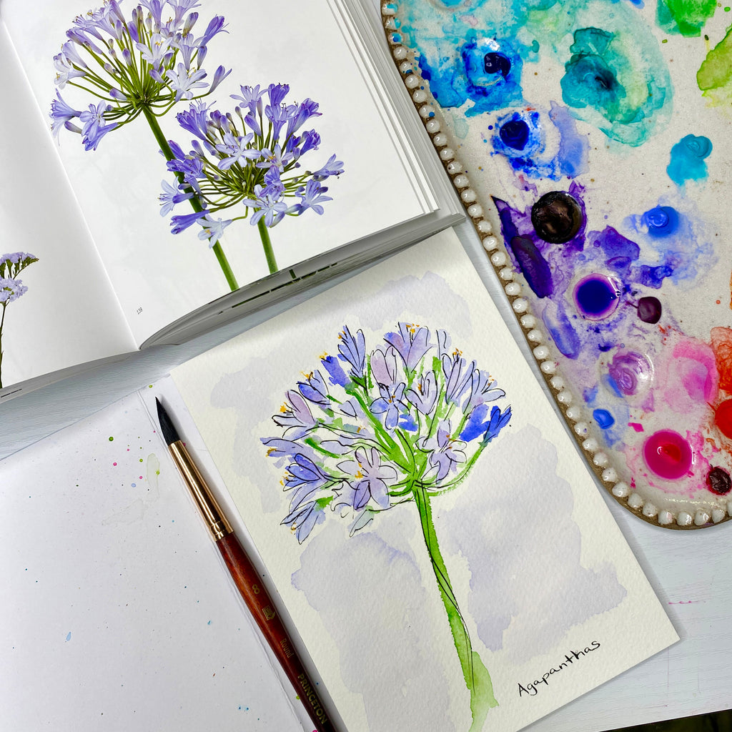 Watercolor Agapanthas and Ink with watercolor palette and Floral book with photo of agapanthas