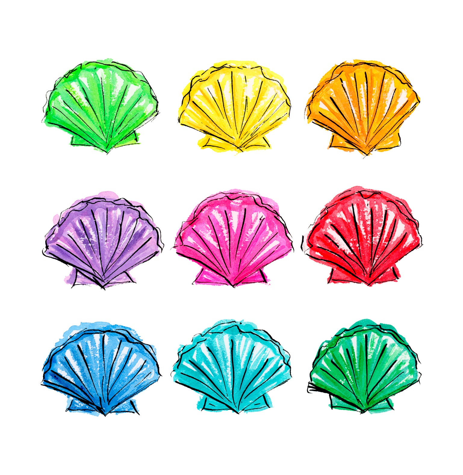 Shell Beach Card Cards- Notecards Beach Shells 5x5